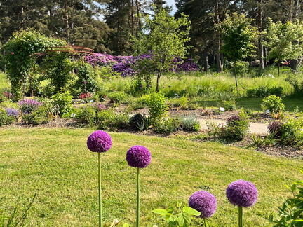 23-06-03 16-32-16 5779